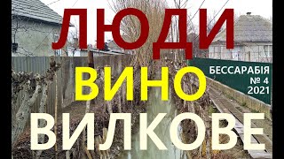 № 4 ВИЛКОВЕ,   ЛЮДИ, ВИНО