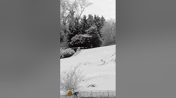 "If the world hates you, keep in mind that it hated me first. John 15:18