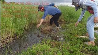 Bẫy chằng nghịch, quốc hoa chưa bao giờ đơn giản vậy. Bẫy chằng nghịch nhanh nhất