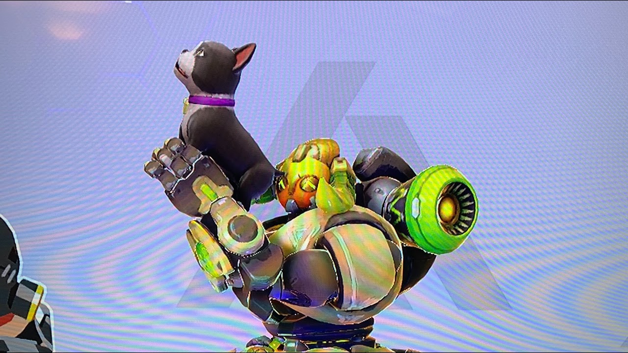 Thursday New Play: Stray