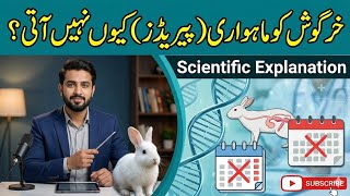 🐇 Why don’t rabbits get periods? 🤔❌