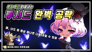 [메이플스토리 리부트] 영상 하나로 끝내는 루시드 완벽 공략!