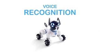 CHiP Tutorial 10: Getting Started with CHiP Voice Recognition