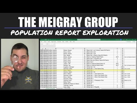 How to Use The MeiGray Group's NHL Game Worn Jersey Population Report | Super Easy to Use!