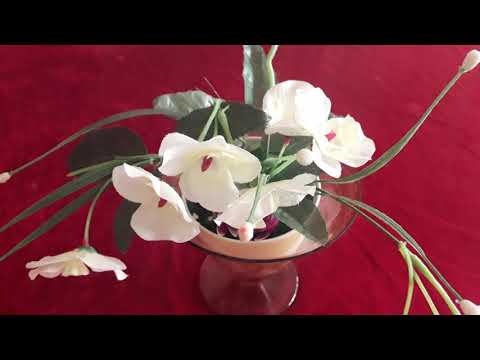 اقوى رقية مهلكة للجن العاشق الذي يدمر حياة الفتاة ويحرمها من الزواج ويمنع المرأة من الحمل 