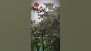 Today I Started Loving You   Buddy Jewel & Miranda Lambert