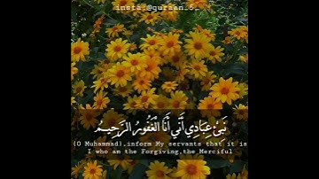 من سورة الحجر، القارئ طارق محمد