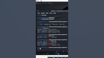 grep command tutorial, kali linux