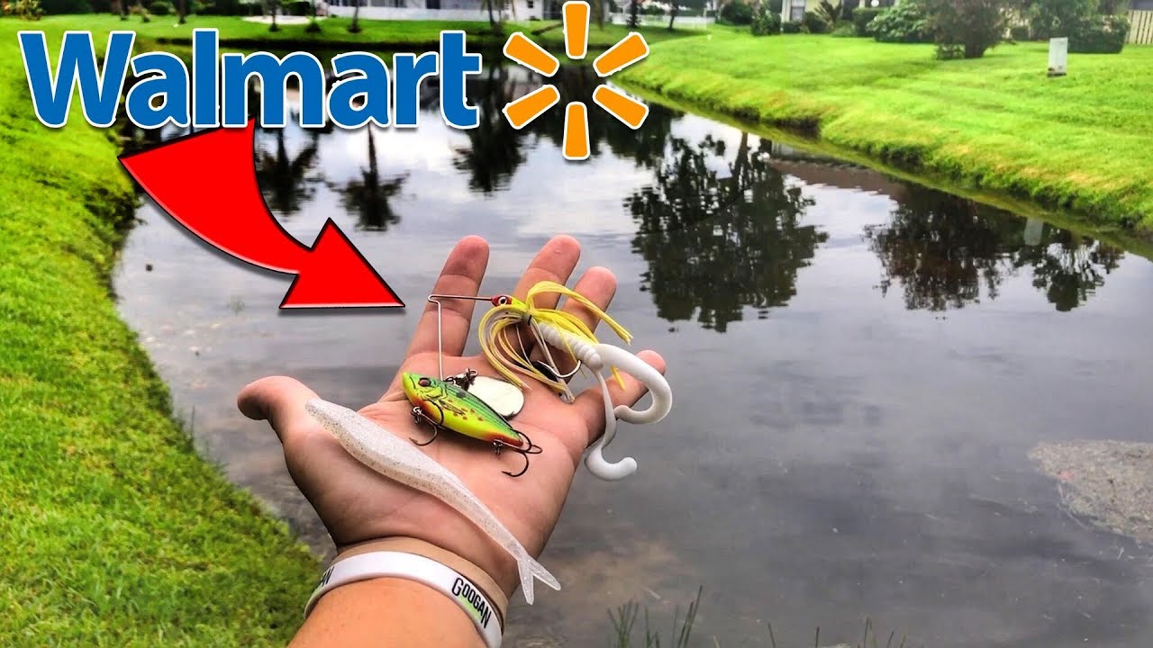 Watch CHEAPEST Walmart Fishing Lures CATCH FISH (SURPRISE Catch) Video on