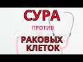 ИЗЛЕЧЕНИЕ от РАКА! СУРА от рака  Дуа убивает раковые клетки  Я люблю  ислам