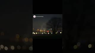 Lirik Lagusembilu Berbisa Lagu Viralliriklaguviral tiktok