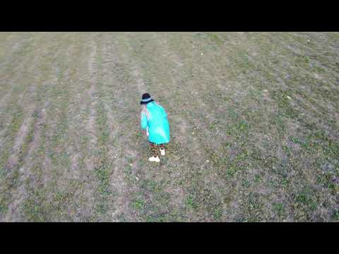 თიანეთი