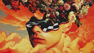 Blushko- Hallucinations