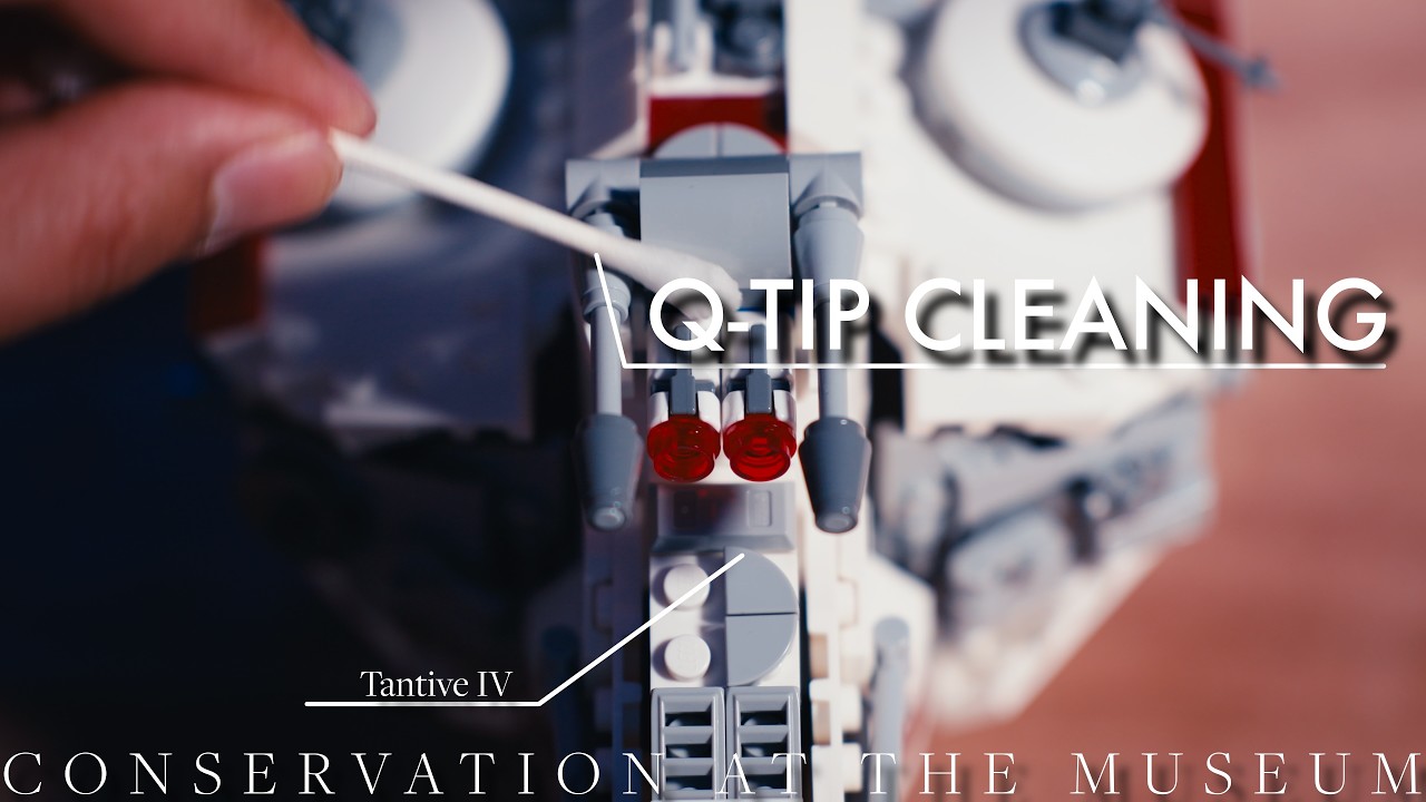 Conservation At The Museum