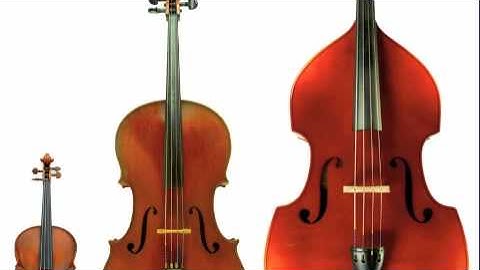 The String Family - A Digital Story