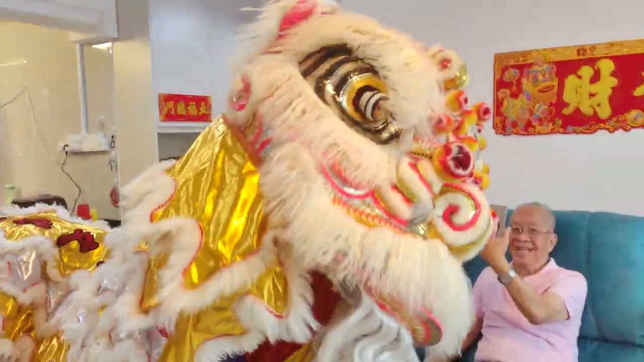 2024 Lion Dance Singapore Wen Yong Lion Dance Troupe