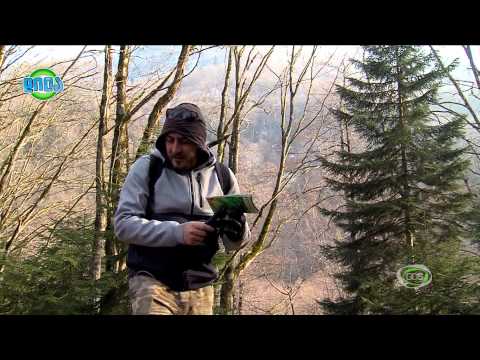 GDS დილა 06.02.2015 - ,,GDS ექსპედიცია'' ბერების გამოქვაბულში