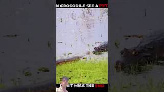 Crocodile V/S Python & Anaconda#shorts #animalshorts #ytshorts #animal #animalplanet#crocodile