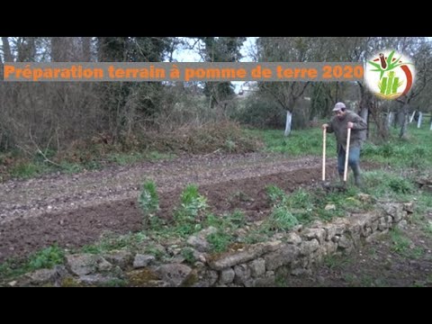 Vidéo: Préparer Le Sol Pour Les Pommes De Terre