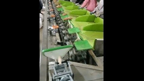 sweet potato sorting machine, weight grading equipment