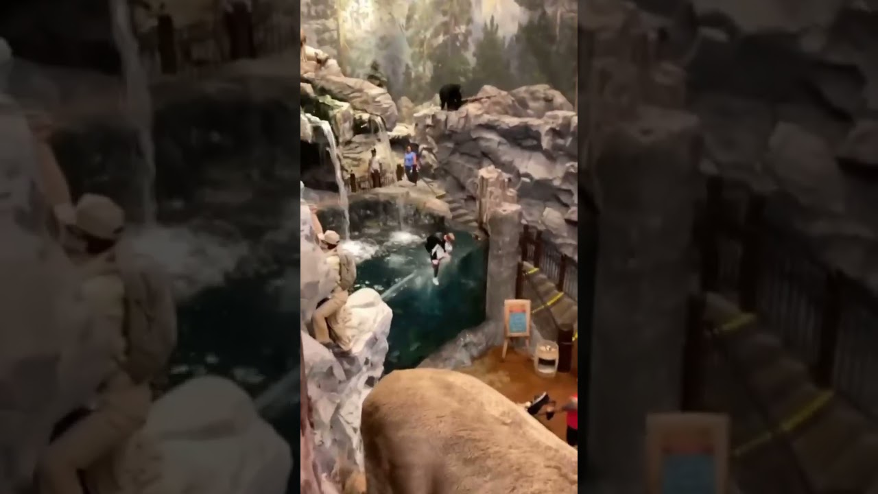 Banned for Life from Jumping in a Bass Pro Fish Tank 