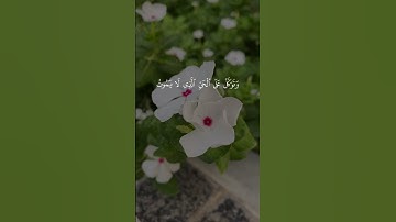 #اكسبلور #تلاوة_خاشعة #راحة_نفسية #قرآن_كريم_أرح_قلبك_وسمعك #لايك #حالة_وتساب