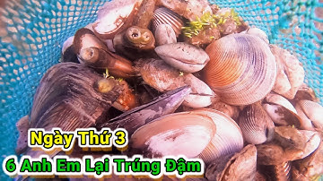 Lặn Biển Tại Đảo Phú Quốc_Không Ngờ Điểm Cũ Hải Sản Bắt Không Bao Giờ Hết /Tập 194
