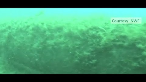 Gov. Whitmer taking action to shut down Line 5 dual pipelines in Straits of Mackinac