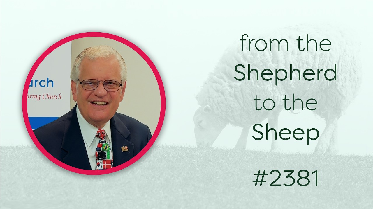 From the Shepherd to the Sheep - #2381 - CBC