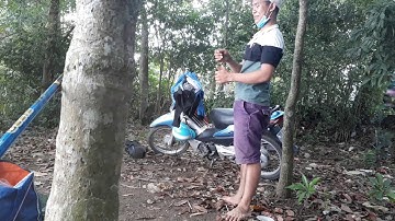 Câu  cá  sông  tân uyên ( cù lao bạch đằng)