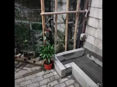Buat taman dan kolam mini sendiri di teras rumah yg sempit Buat taman dan kolam mini sendiri di teras rumah yg sempit