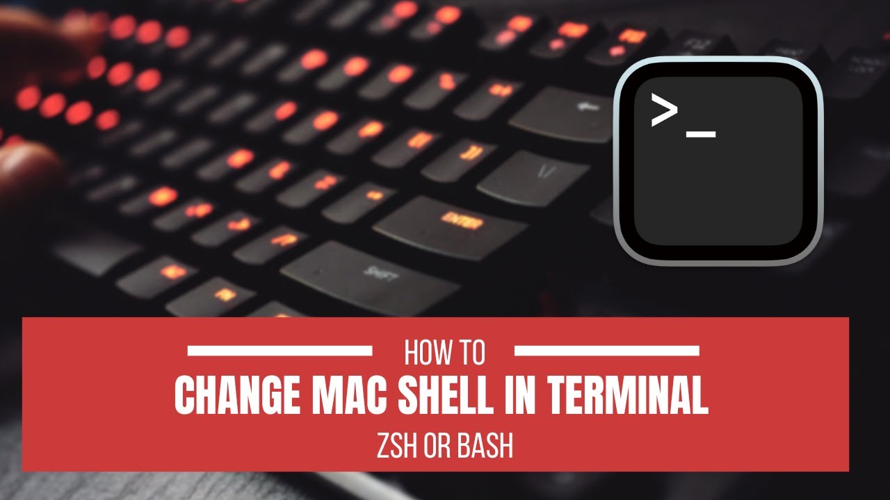 Change default shell in terminal | Zsh or bash - YouTube