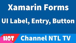 Xamarin Forms UI Label, Entry, Button