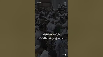 مقتطف من تلاوة فضيلة الشيخ #محمد_برهجي من صلاة الفجر الاثنين ١٧ صفر ١٤٤٧