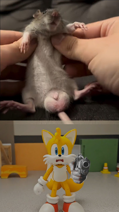 Dancing rat vs assasin tails #shorts #tails #funny #memes