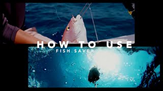 Return 'Em Right: How to Use a Fish Saver Descending Device