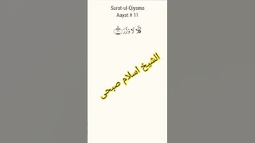 #اسلام_صبحي #اسلام#المصحف #سورة #islamsobhi #surah_al_kahf #surahalmuminun #تلاوة_خاشعة