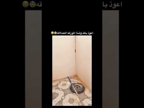 اكبر وزغه بالعالم