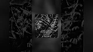 Brutal Infernal Funk Slowedreverb