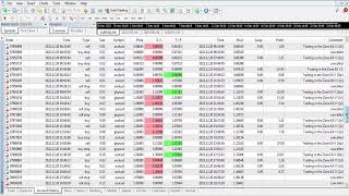 Trading In The Zone Ea V1100 Daily Profitlive Trading 8 Day 810
