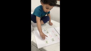 Matching and Identifying Numbers | Enhancing Cognitive Skills | Toddler Activity
