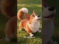 The Dog Who Wanted to Catch a Cloud