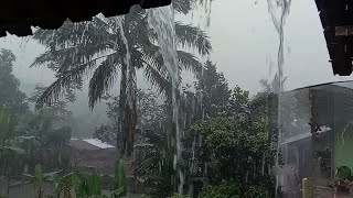 Very Heavy Rain & Thunder in My Village  Rain Sounds for Sleeping | Asmr  Indorain