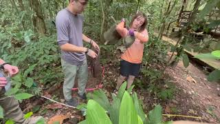 Leaf Litter Sampling With Winkler Bags