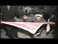 حفلات محمود تلاوي