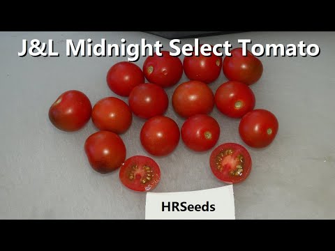 Video: Tomato Etual: rasbeschrijving, opbrengst, foto's en recensies