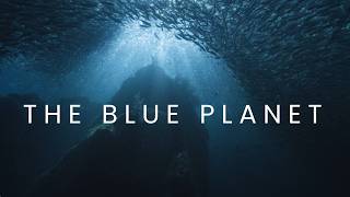 The Blue Planet | Beneath the Waves