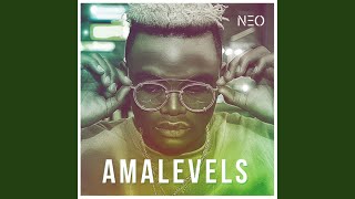 Amalevels