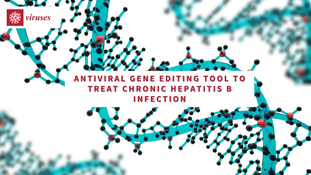 Antiviral Gene Editing Tool to Treat Chronic Hepatitis B Infection