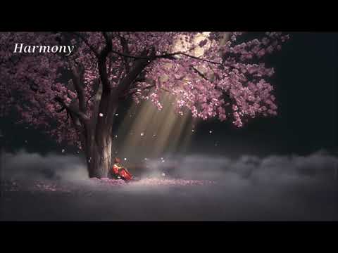 Relaxing music for sleep, meditation and study I SAINT SEIYA I Ambient, Voice